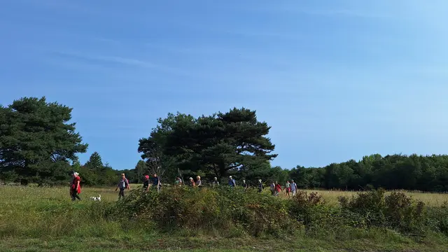 Dort oben in den Kiefern wohnen die Falken | Foto: Monika Breusch