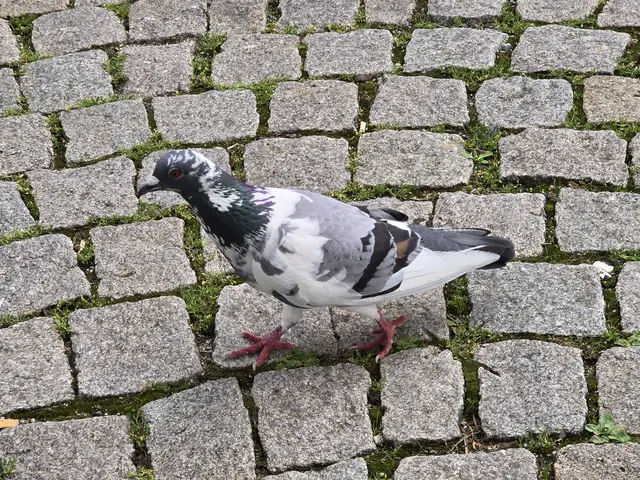 Foto: Heidrun Rosenberger