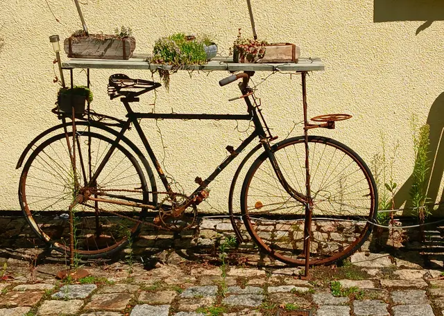 Sehenswerte Deko 😊.  | Foto: sigischlottke