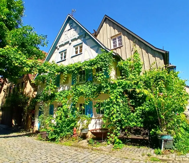 In der Mittleren Holdergasse sind viele hübsche Häuser mit liebevoller Deko zu bewundern.   | Foto: sigischlottke