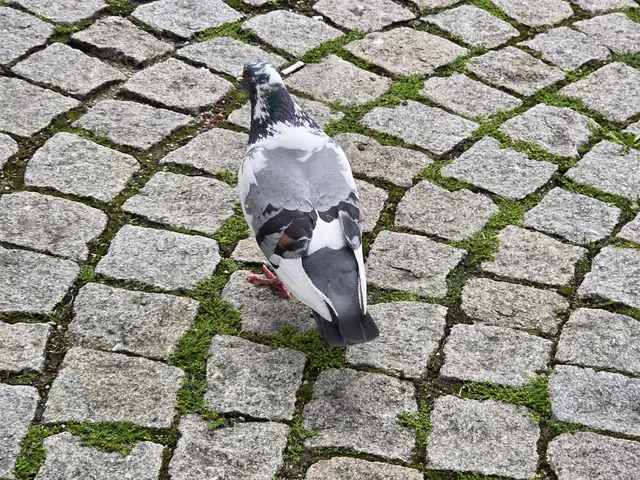 Foto: Heidrun Rosenberger