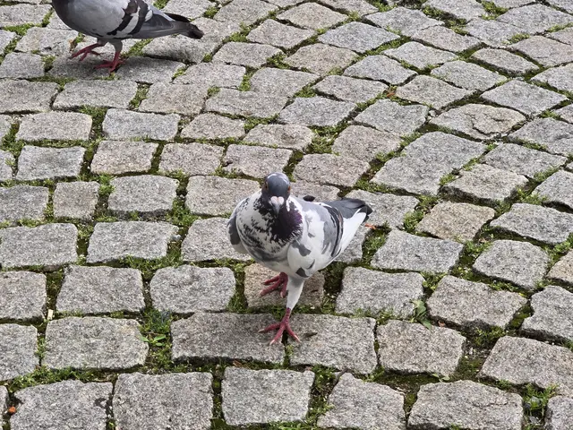 Foto: Heidrun Rosenberger