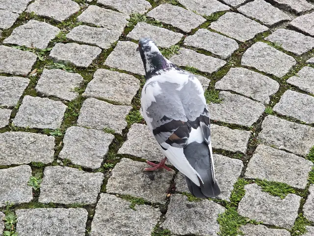 Foto: Heidrun Rosenberger