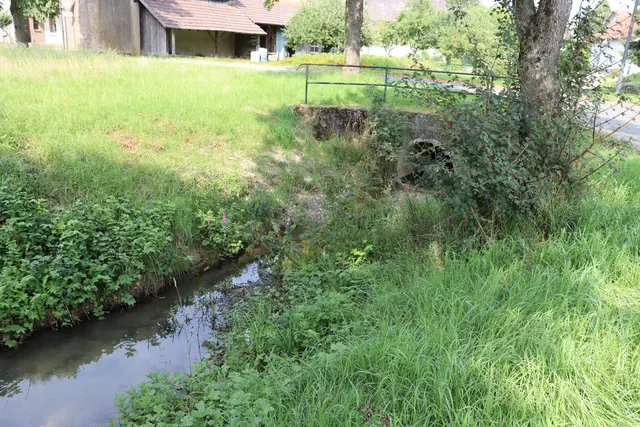 Aufgestauter Hergstbach beim Sportplatz in Leibenstadt | Foto: Marga Specht