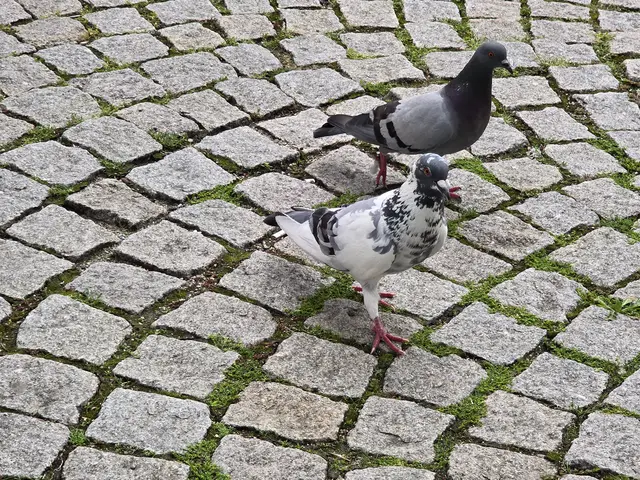 Foto: Heidrun Rosenberger