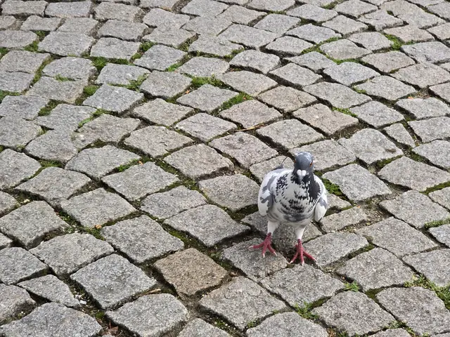 Foto: Heidrun Rosenberger