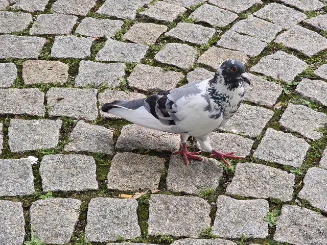 Foto: Heidrun Rosenberger