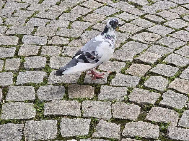 Foto: Heidrun Rosenberger