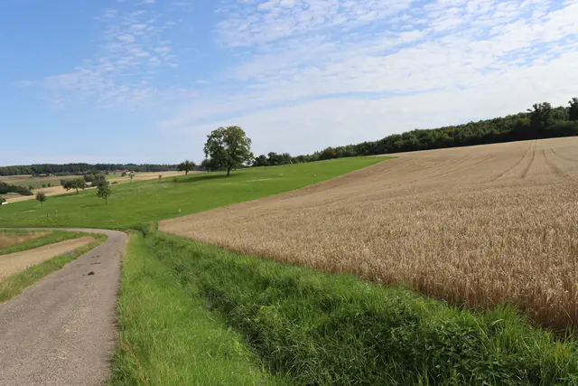 Lage der Wüstung Tolnayshof Richtung Hergenstadt | Foto: Marga Specht