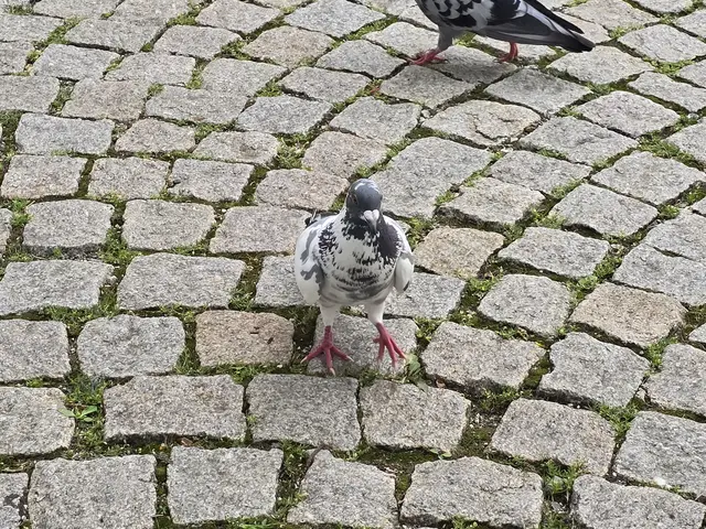 Foto: Heidrun Rosenberger