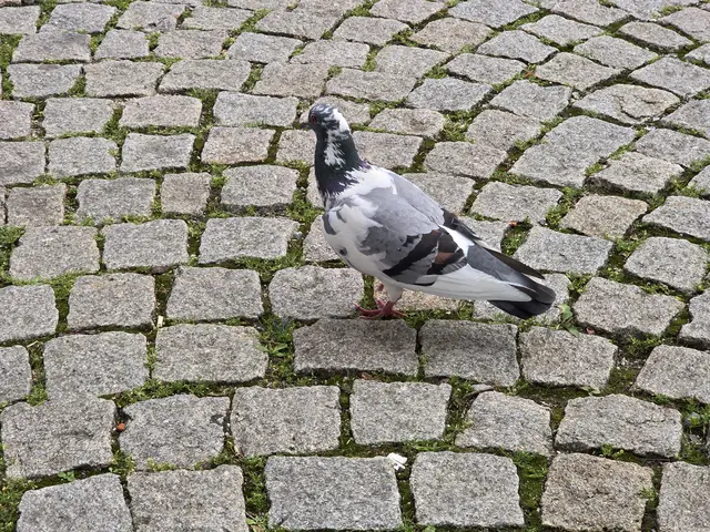 Foto: Heidrun Rosenberger