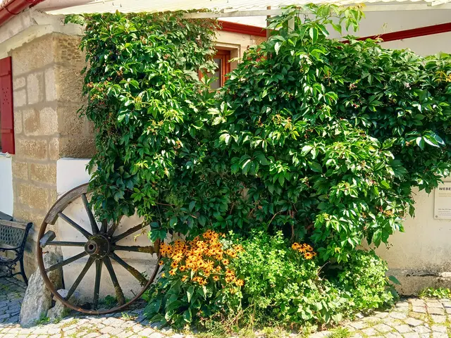 Eine schöne Ecke.   | Foto: sigischlottke
