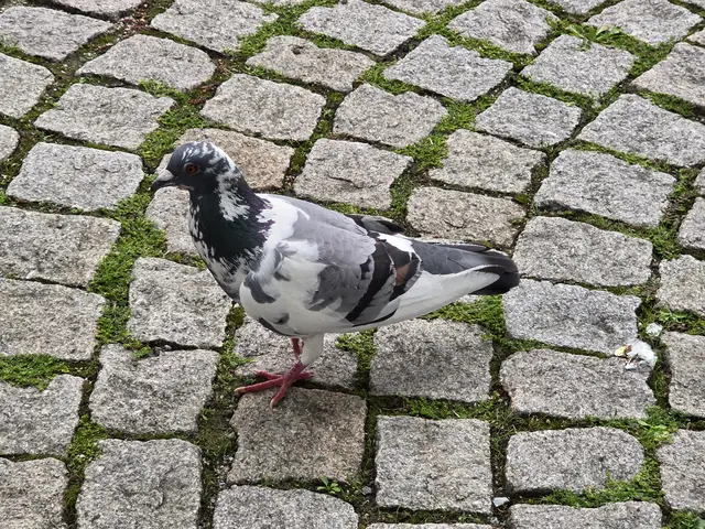 Foto: Heidrun Rosenberger