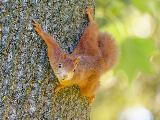 Foto: Eigenes Bild TB