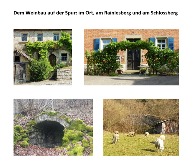 Screenshot von S. 96, Ausschnitt: Der mit einem üppigen Rebenbogen geschmückte Eingang zum Pfarrhaus ist rechts oben zu sehen, links davon der Eingang zum Haus Bader (siehe Einblicke, Teil 3). Untere Reihe: "Kühlanlage" aus Weinbauzeiten und Schafe vor altem Weinberghäuschen und Steinriegel, beides am Rainlesberg  | Foto: Eigene Aufnahme