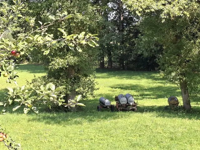 Kleiner Sonntagswalk von Braunsbach Richtung Döttingen | Foto: Ralf Röser