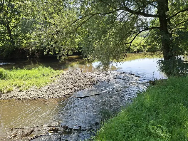 Kleiner Sonntagswalk von Braunsbach Richtung Döttingen | Foto: Ralf Röser