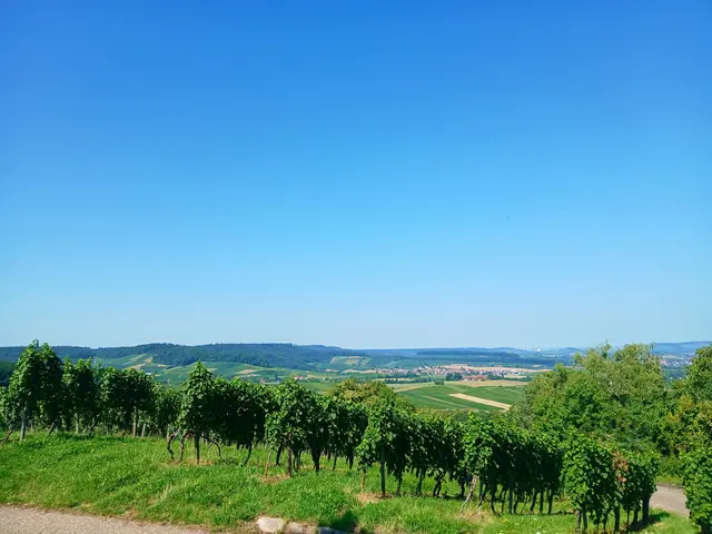 Was für ein herrlicher Ausblick von unserem Pausenplatz.  | Foto: sigischlottke