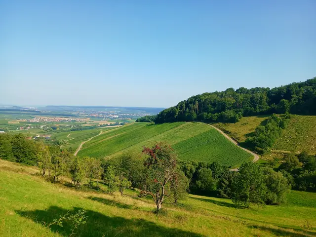 Wir sind auf dem Hangweg unterwegs und genießen die Aussicht.   | Foto: sigischlottke