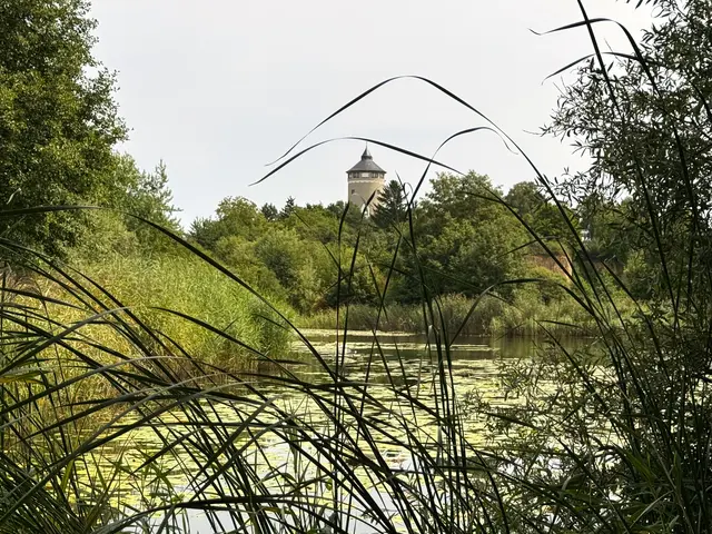 Foto: Heide Böllinger aus Bad Friedrichshall