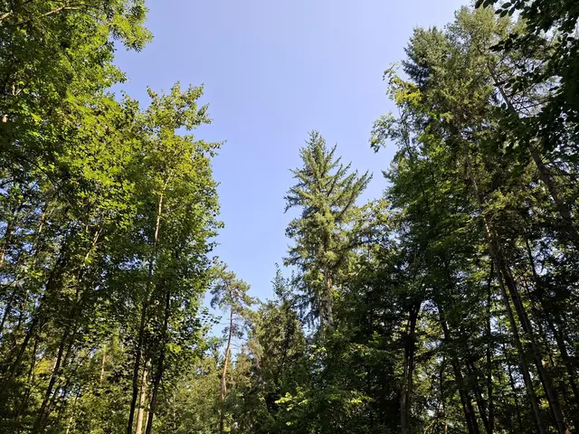 Kleiner Sonntagswalk von Braunsbach Richtung Döttingen | Foto: Ralf Röser
