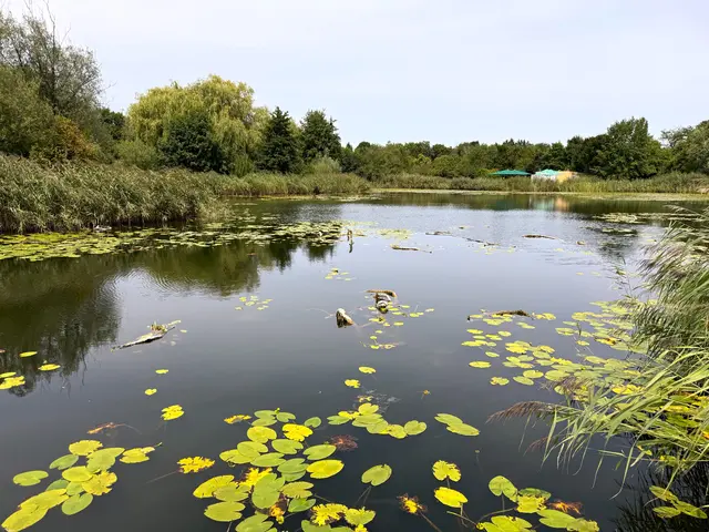 Foto: Heide Böllinger aus Bad Friedrichshall