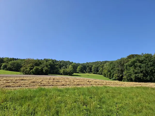 Kleiner Sonntagswalk von Braunsbach Richtung Döttingen | Foto: Ralf Röser