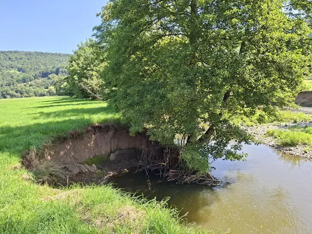 Kleiner Sonntagswalk von Braunsbach Richtung Döttingen | Foto: Ralf Röser