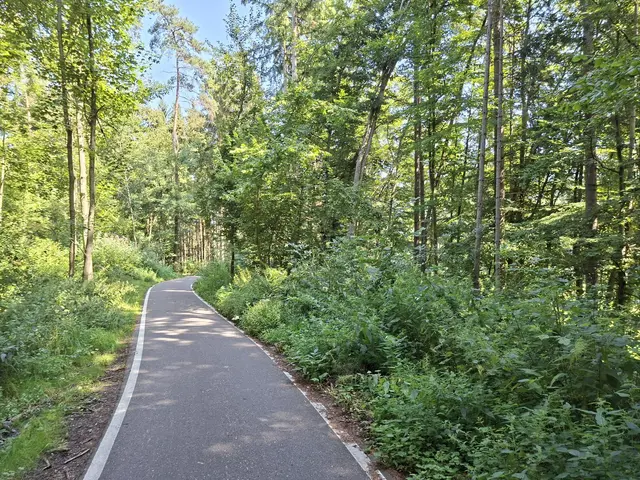Kleiner Sonntagswalk von Braunsbach Richtung Döttingen | Foto: Ralf Röser