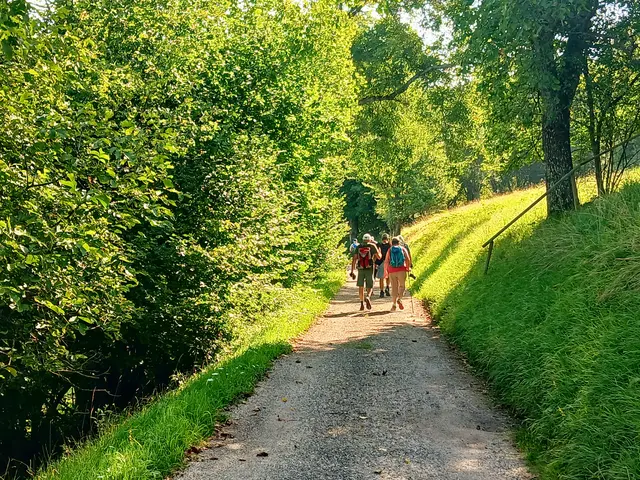 Angenehm im Schatten geht's in den Wald.   | Foto: sigischlottke