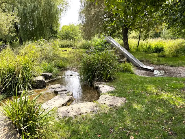 Foto: Heide Böllinger aus Bad Friedrichshall