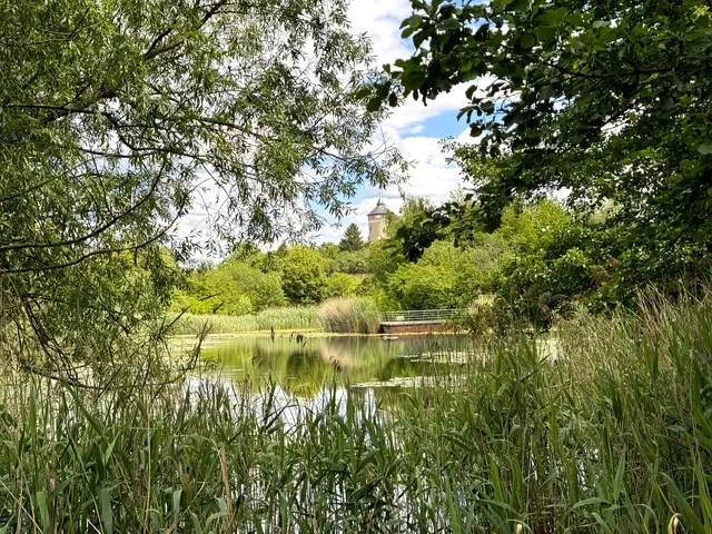 Foto: Heide Böllinger aus Bad Friedrichshall