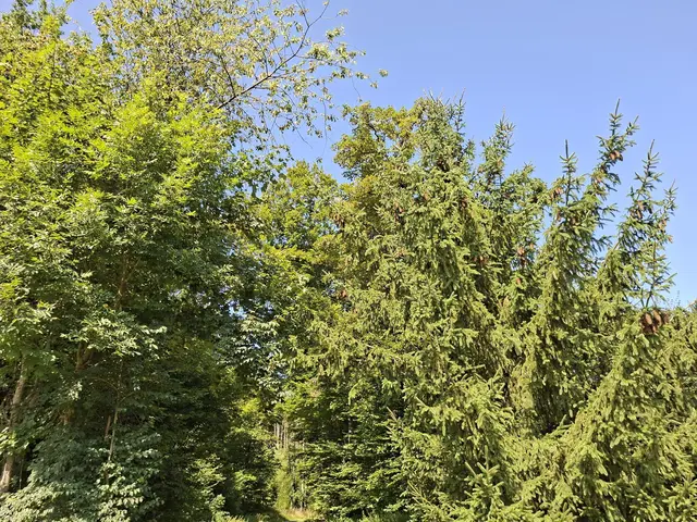 Kleiner Sonntagswalk von Braunsbach Richtung Döttingen | Foto: Ralf Röser