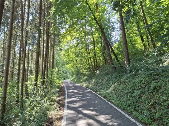 Kleiner Sonntagswalk von Braunsbach Richtung Döttingen | Foto: Ralf Röser