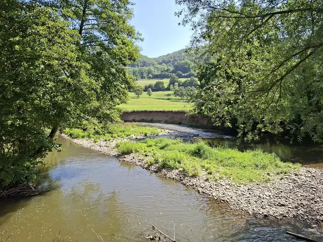 Kleiner Sonntagswalk von Braunsbach Richtung Döttingen | Foto: Ralf Röser