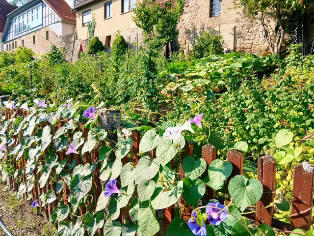 Unterhalb der Schrebergärten leitet uns ein schöner Pfad. | Foto: sigischlottke