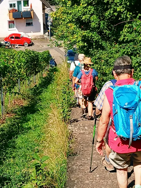 Nun geht's über viele Weinbergstäffele hinunter nach Reisach. Der knallrote Käfer ist ein richtiger Hingucker 🚗 | Foto: sigischlottke