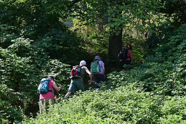 Weiter ging's steil den Totenweg hinauf.   | Foto: Michael Harmsen 