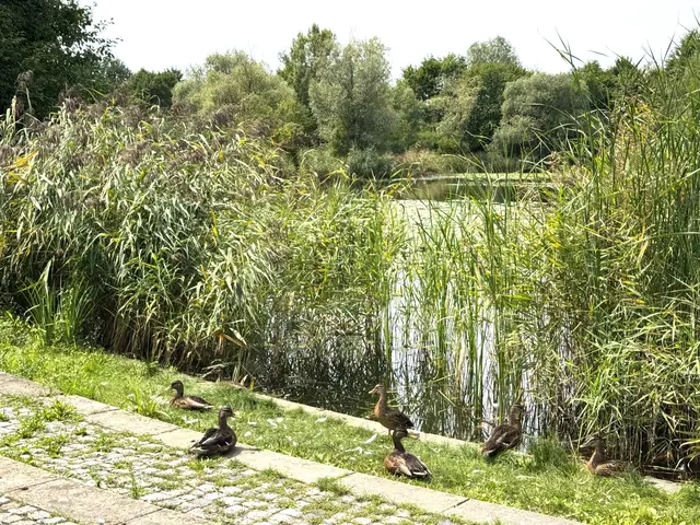 Foto: Heide Böllinger aus Bad Friedrichshall