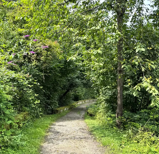 Foto: Heide Böllinger aus Bad Friedrichshall