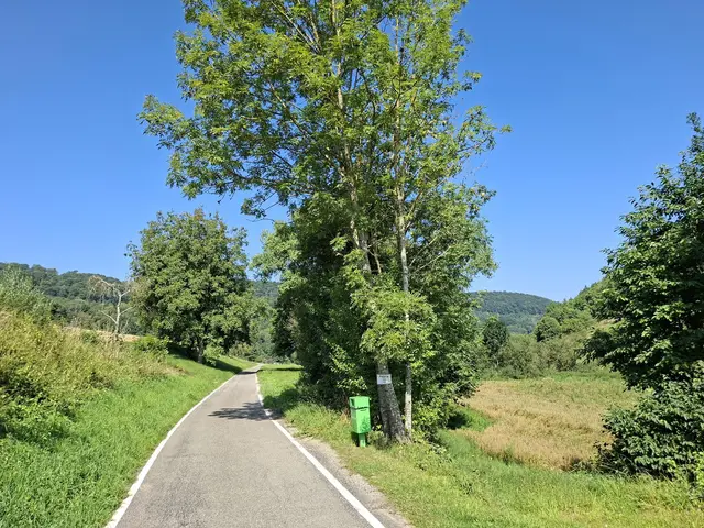 Kleiner Sonntagswalk von Braunsbach Richtung Döttingen | Foto: Ralf Röser