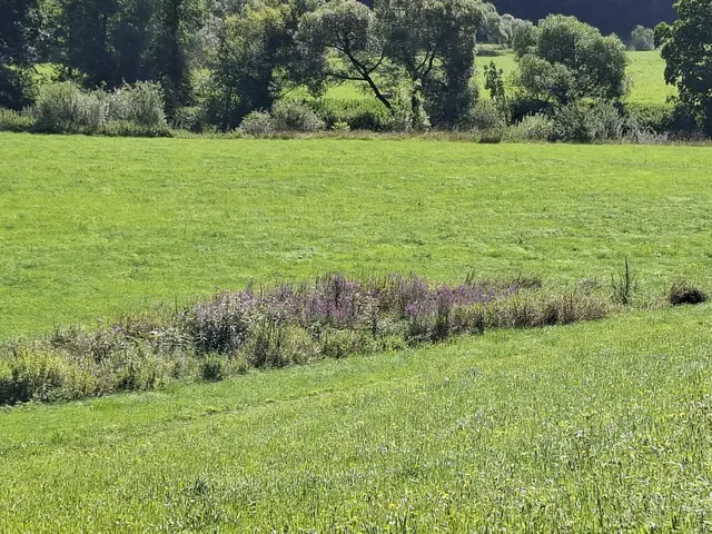 Kleiner Sonntagswalk von Braunsbach Richtung Döttingen | Foto: Ralf Röser