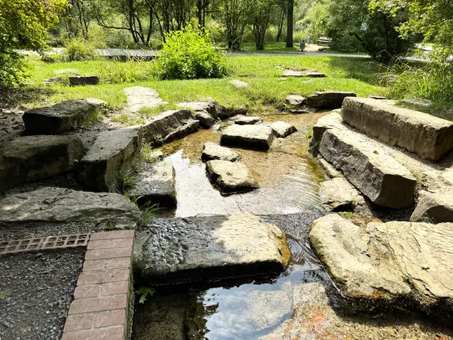 Foto: Heide Böllinger aus Bad Friedrichshall
