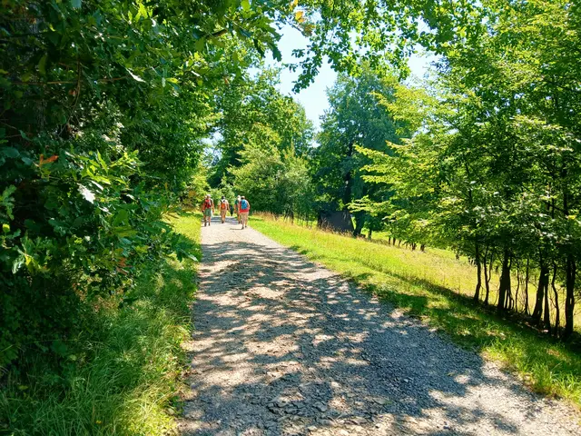 Nun wandeln wir im luchten Schatten wieder auf ebener Strecke.  | Foto: sigischlottke