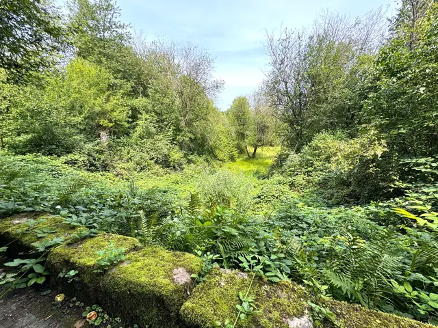 Foto: Heide Böllinger aus Bad Friedrichshall