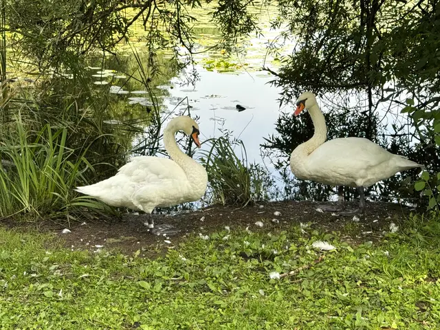 Foto: Heide Böllinger aus Bad Friedrichshall