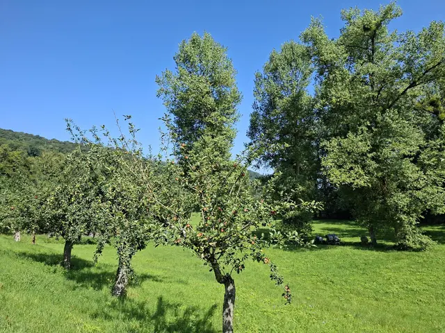 Kleiner Sonntagswalk von Braunsbach Richtung Döttingen | Foto: Ralf Röser
