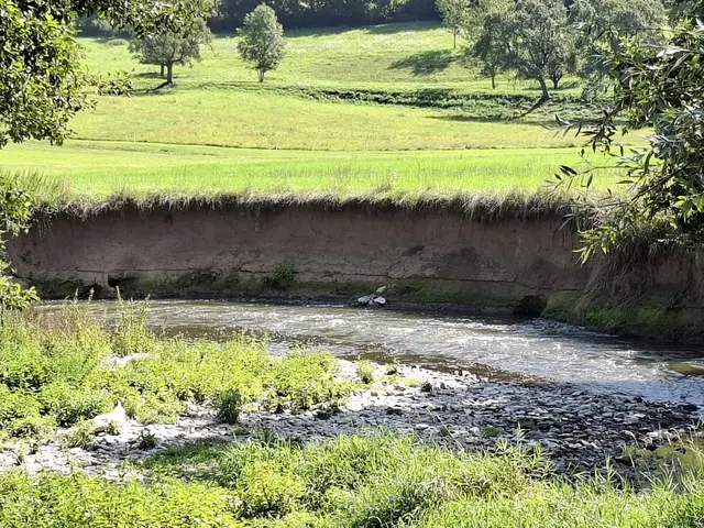 Kleiner Sonntagswalk von Braunsbach Richtung Döttingen | Foto: Ralf Röser