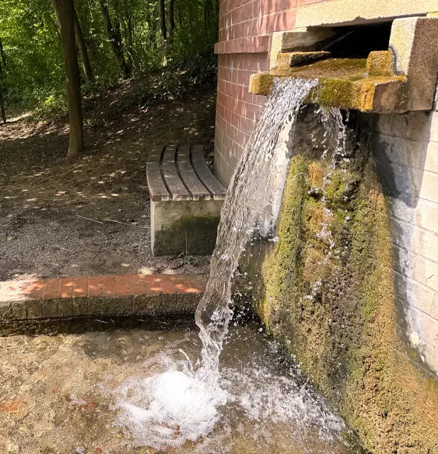 Foto: Heide Böllinger aus Bad Friedrichshall