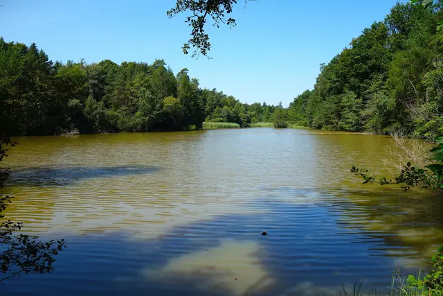 Der Maibachsee, ein1,6 ha großer Natursee der zugleich ein Biotop ist. | Foto: Isolde Reitz